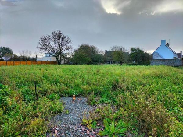 Terrain à Batir à vendre à Anneville-sur-Mer dans la Manche (50560), ref : 300