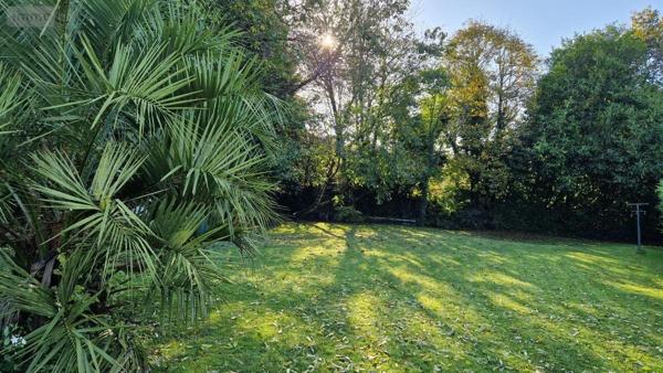 Maison à vendre à Plourin-lès-Morlaix dans le Finistère (29600), ref : 29083-1579