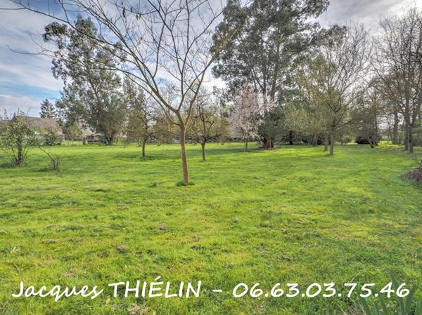 Au coeur de Longué-Jumelles volumes remarquables et parc arboré pour cette propriété d'exception