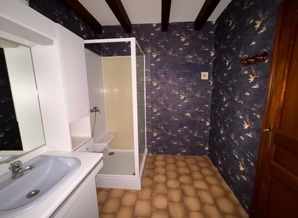 Maison dans Brison-Saint-Innocent