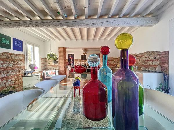 Mas Atypique au charme d antan et sa partie Loft Industiel sur Argeles-Sur-Mer