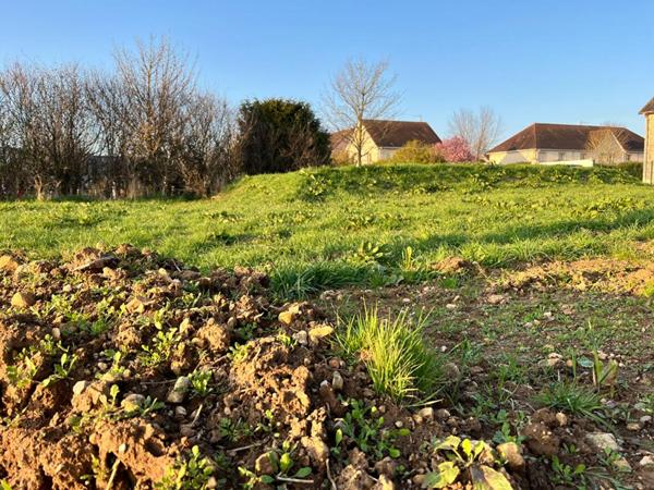 TERRAIN 600m² FALAISE