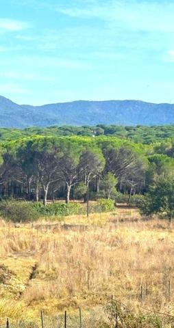 Maison familiale, entre nature et commodités !
