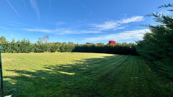 Fronton - Terrain constructible de 1307 m² à viabiliser