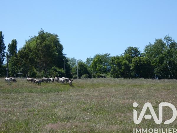 Maison à vendre 4 pièces 104 m² Bazas