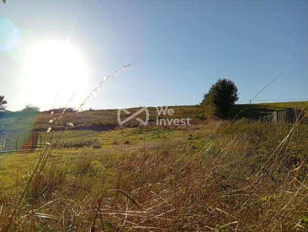 Terrain constructible