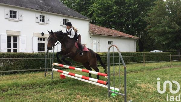 Maison à vendre 10 pièces 270 m² Saint-Laurent-de-Cognac