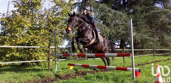 Maison à vendre 10 pièces 270 m² Saint-Laurent-de-Cognac