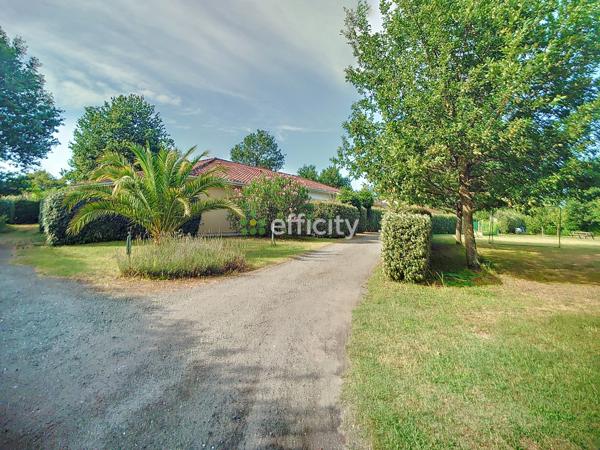 Maison 24 pièces - 332 m² Bien prestige