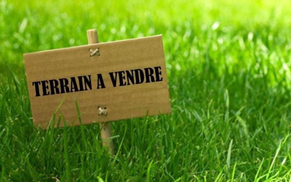 Terrain à vendre