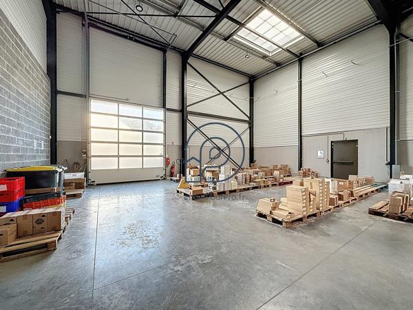 Local aménagé avec chambres froides Lille 514 m2