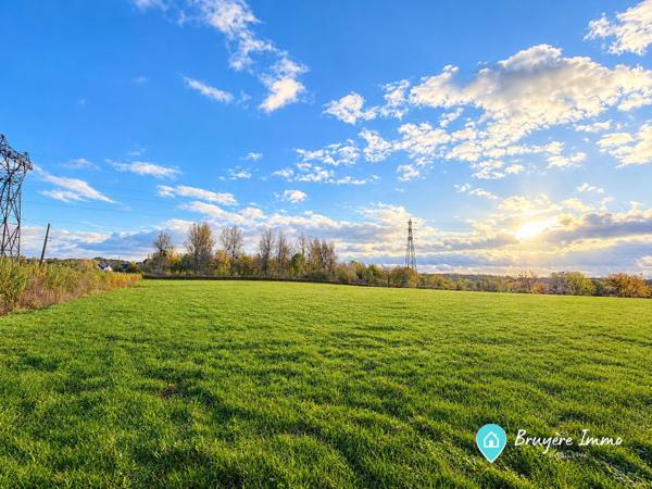 Terrain agricole à vendre, 36000 m² - Fourmies 59610