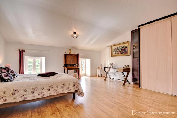 Dpt Charente Maritime (17), à vendre SAINT SAVINIEN immeuble