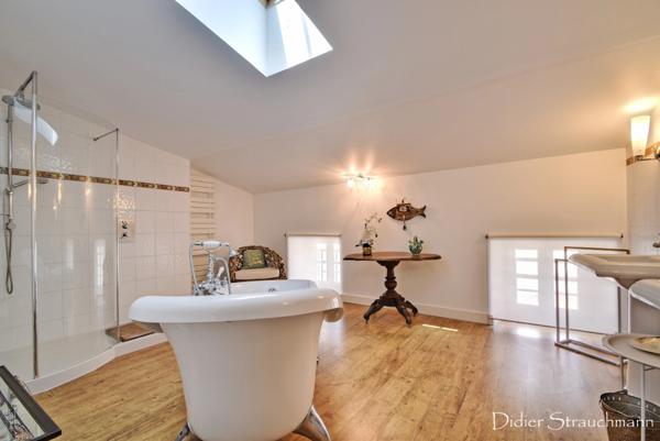 Dpt Charente Maritime (17), à vendre SAINT SAVINIEN immeuble