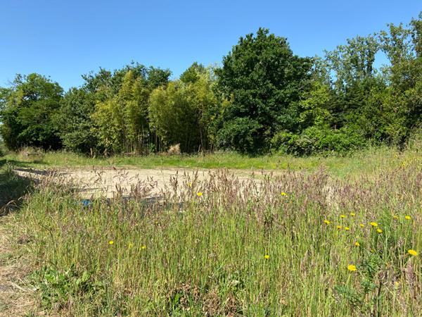 Terrain viabilisé d'environ 809 m2