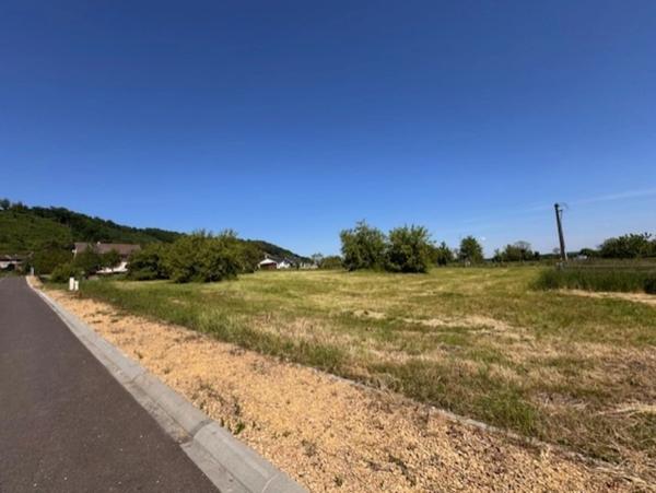 À vendre – Terrain à bâtir viabilisé de 1495 m² à Brandeville (55150)