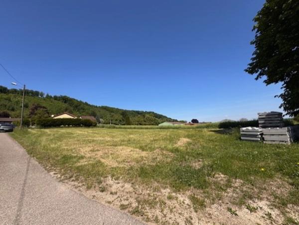 À vendre – Terrain à bâtir viabilisé de 1495 m² à Brandeville (55150)
