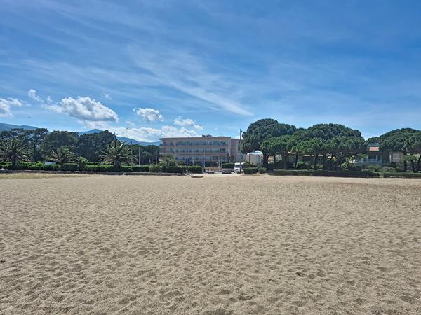 Local commercial Argeles Sur Mer 75 m2