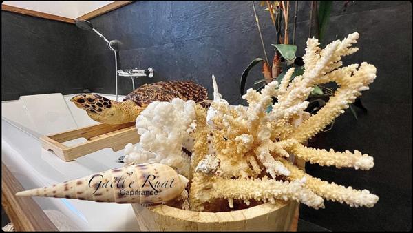 Font Romeu - Exclusivité - Chalet Signature de 240 m² sur 1 500 m² de parcelle, Vue panoramique