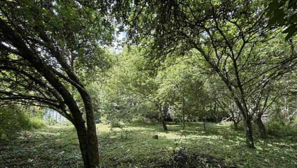 CLOHARS CARNOËT - TERRAIN A BATIR 839 M² - PROCHE PLAGES