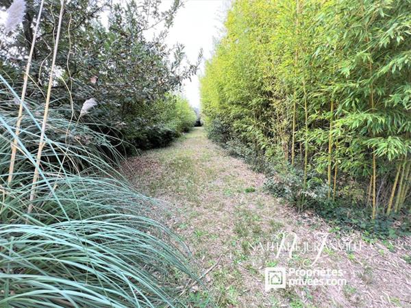 Argelès-sur-Mer, propriété d'e 254 m2 sur une parcelle de 11000m2