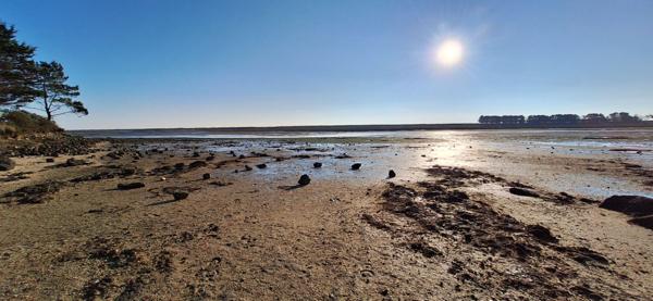 Fouesnant, maison d'architecte de 170 m² sur un jardin paysagé de 3000 m² !