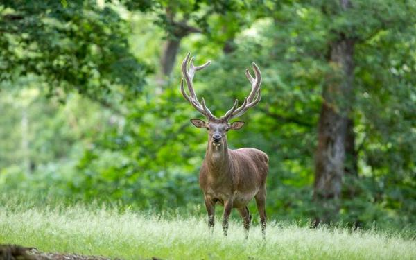 Terrain à vendre    Le Touquet-Paris-Plage