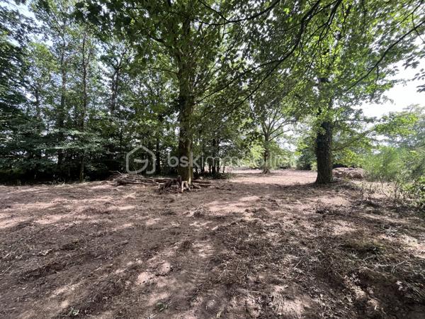 À proximité de la Forêt de Grasla, venez découvrir ce terrain de loisirs de 5 995 m², idéal pour profiter de moments de détente en famille ou entre amis.
Vous y trouverez :
 Un grand espace de stationnement
Un terrain de pétanque
 Plusieurs espaces ombragés
Une partie boisée composée de belles essences locales (chênes, frênes, châtaigniers...)
Le terrain bénéficie également d'un écoulement d'eau naturel en période de pluie.
Les + :  Environnement calme /  Cadre naturel agréable /  Bois disponible pour votre cheminée ou votre poêle
À noter : Terrain non constructible / Sans eau / Sans électricité
Un véritable coin de nature pour se ressourcer et partager de bons moments.
📞 Contactez-moi pour plus d'informations ou organiser une visite.
