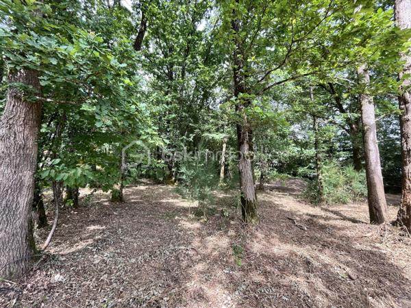 À proximité de la Forêt de Grasla, venez découvrir ce terrain de loisirs de 5 995 m², idéal pour profiter de moments de détente en famille ou entre amis.
Vous y trouverez :
 Un grand espace de stationnement
Un terrain de pétanque
 Plusieurs espaces ombragés
Une partie boisée composée de belles essences locales (chênes, frênes, châtaigniers...)
Le terrain bénéficie également d'un écoulement d'eau naturel en période de pluie.
Les + :  Environnement calme /  Cadre naturel agréable /  Bois disponible pour votre cheminée ou votre poêle
À noter : Terrain non constructible / Sans eau / Sans électricité
Un véritable coin de nature pour se ressourcer et partager de bons moments.
📞 Contactez-moi pour plus d'informations ou organiser une visite.