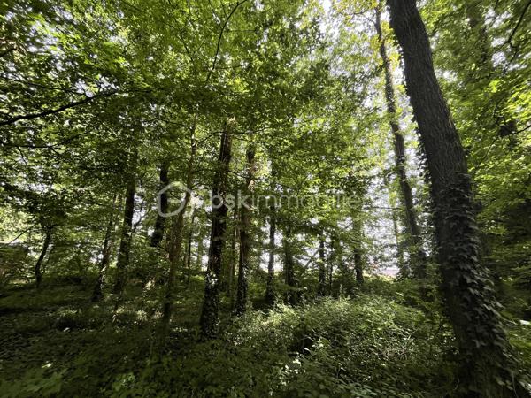 À proximité de la Forêt de Grasla, venez découvrir ce terrain de loisirs de 5 995 m², idéal pour profiter de moments de détente en famille ou entre amis.
Vous y trouverez :
 Un grand espace de stationnement
Un terrain de pétanque
 Plusieurs espaces ombragés
Une partie boisée composée de belles essences locales (chênes, frênes, châtaigniers...)
Le terrain bénéficie également d'un écoulement d'eau naturel en période de pluie.
Les + :  Environnement calme /  Cadre naturel agréable /  Bois disponible pour votre cheminée ou votre poêle
À noter : Terrain non constructible / Sans eau / Sans électricité
Un véritable coin de nature pour se ressourcer et partager de bons moments.
📞 Contactez-moi pour plus d'informations ou organiser une visite.