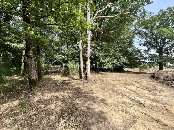 À proximité de la Forêt de Grasla, venez découvrir ce terrain de loisirs de 5 995 m², idéal pour profiter de moments de détente en famille ou entre amis.
Vous y trouverez :
 Un grand espace de stationnement
Un terrain de pétanque
 Plusieurs espaces ombragés
Une partie boisée composée de belles essences locales (chênes, frênes, châtaigniers...)
Le terrain bénéficie également d'un écoulement d'eau naturel en période de pluie.
Les + :  Environnement calme /  Cadre naturel agréable /  Bois disponible pour votre cheminée ou votre poêle
À noter : Terrain non constructible / Sans eau / Sans électricité
Un véritable coin de nature pour se ressourcer et partager de bons moments.
📞 Contactez-moi pour plus d'informations ou organiser une visite.