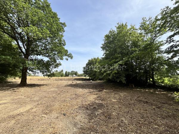 À proximité de la Forêt de Grasla, venez découvrir ce terrain de loisirs de 5 995 m², idéal pour profiter de moments de détente en famille ou entre amis.
Vous y trouverez :
 Un grand espace de stationnement
Un terrain de pétanque
 Plusieurs espaces ombragés
Une partie boisée composée de belles essences locales (chênes, frênes, châtaigniers...)
Le terrain bénéficie également d'un écoulement d'eau naturel en période de pluie.
Les + :  Environnement calme /  Cadre naturel agréable /  Bois disponible pour votre cheminée ou votre poêle
À noter : Terrain non constructible / Sans eau / Sans électricité
Un véritable coin de nature pour se ressourcer et partager de bons moments.
📞 Contactez-moi pour plus d'informations ou organiser une visite.
