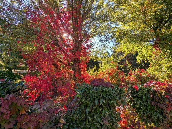 Studio rénové et très lumineux à Lamalou les Bains