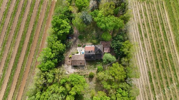 Superbe maison en pierres ! 6 chambres ! 11 761 m² de terrain !