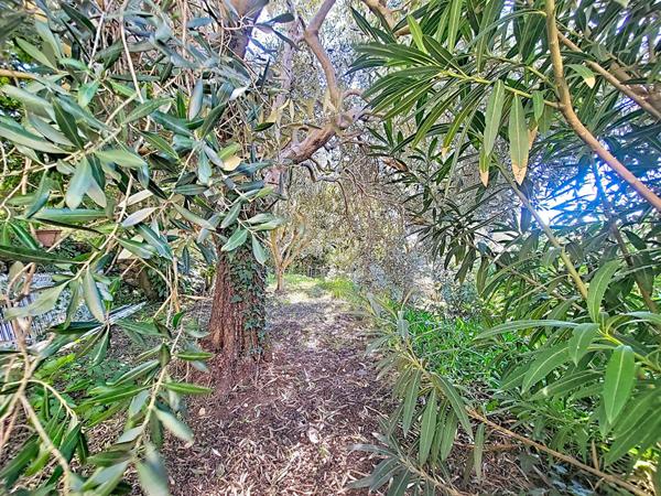 Belle bâtisse au charme provençale 5 pièce(s) 145.69m² 4 chambres sur terrain 1632m² 13013 Marseille