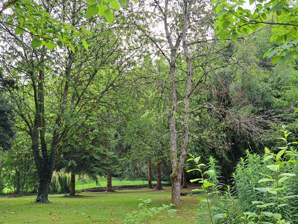 MAISON À VENDRE À SEIGY