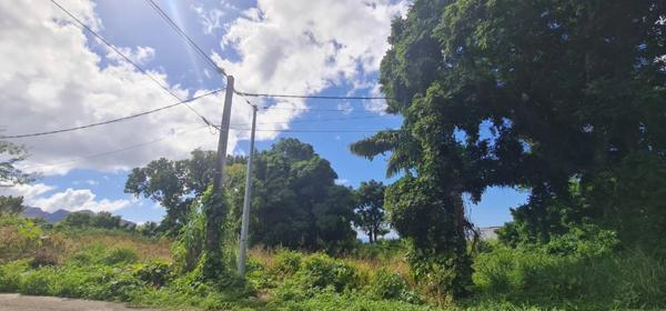 Dpt Guadeloupe (971), à vendre SAINT CLAUDE - Terrain de 15 220,00 m²