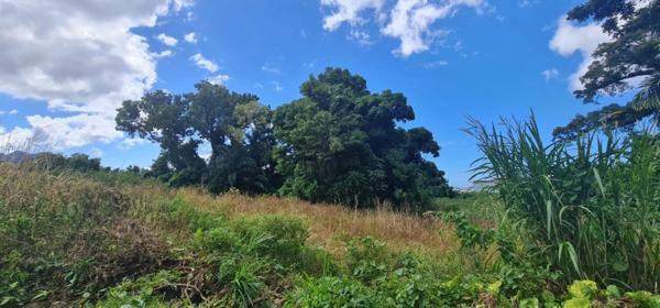 Dpt Guadeloupe (971), à vendre SAINT CLAUDE - Terrain de 15 220,00 m²