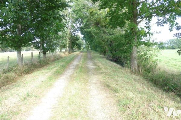 A vendre à Ambrières les vallées(53), deux parcelles constructibles