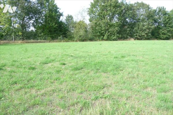 A vendre à Ambrières les vallées(53), deux parcelles constructibles