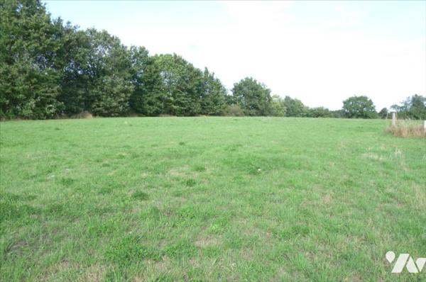 A vendre à Ambrières les vallées(53), deux parcelles constructibles