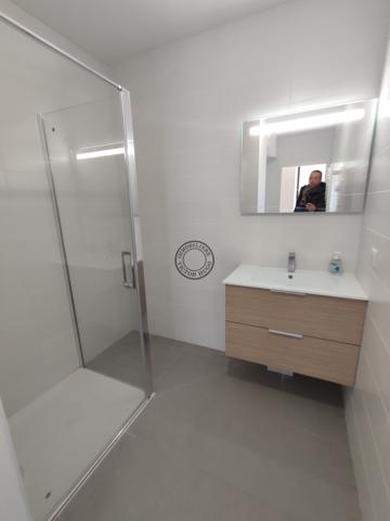 3 P+ C - Rez de Jardin -Ile Verte
