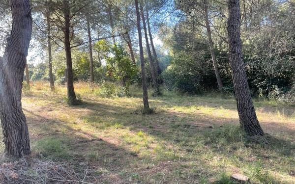 Terrain à vendre    Ollioules