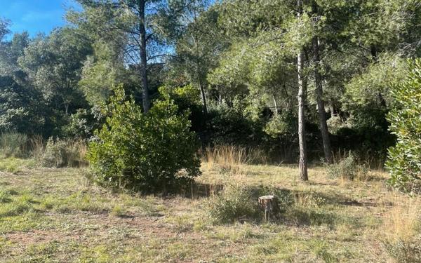 Terrain à vendre    Ollioules