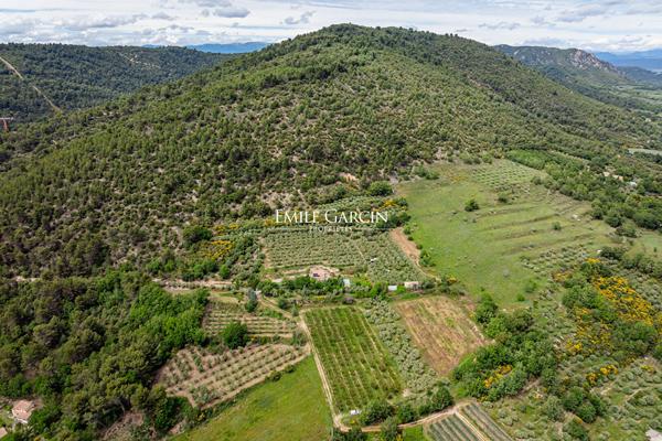 Sur 9 hectares d'une propriété avec 700 pieds d'oliviers