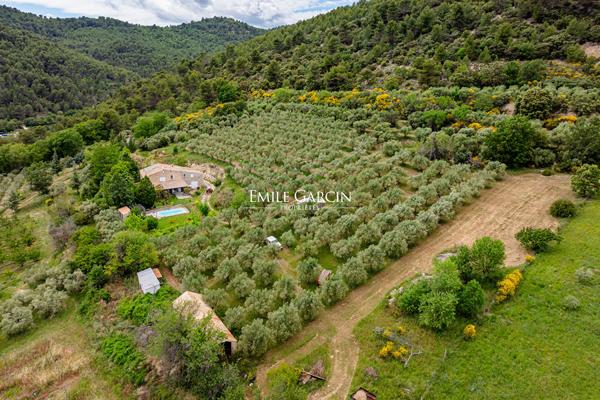 Sur 9 hectares d'une propriété avec 700 pieds d'oliviers