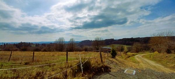 Terrain - 1003 m² Exclusivité efficity