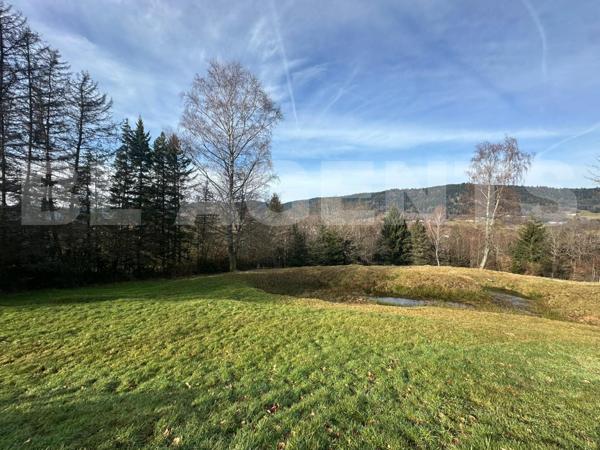 maison/villa 8 pièce(s) 270 m2