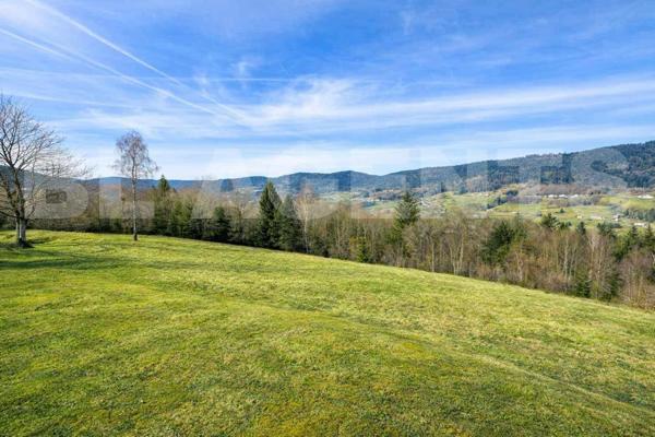 maison/villa 8 pièce(s) 270 m2