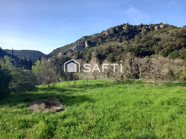 Maison de village et jardin à deux pas